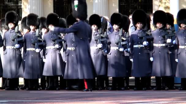 Cambio de guardia — Vídeo de stock