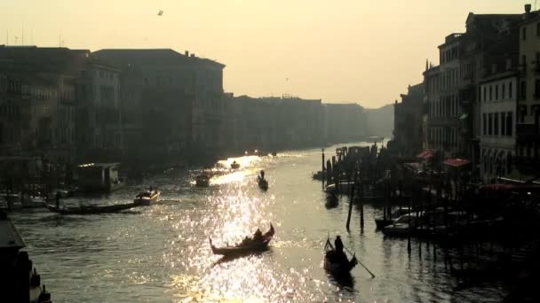 Grand Canal und Gondeln — Stockvideo