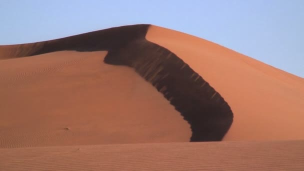 Песчаная буря в дюнах — стоковое видео