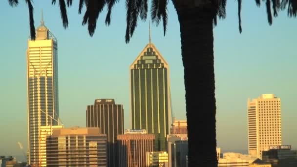 Vue du paysage urbain de Perth — Video