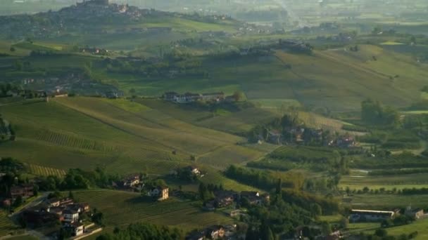Vista del viñedo italiano — Vídeo de stock