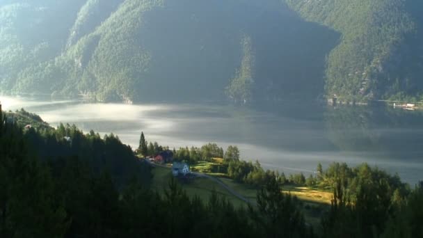 Nebel am frühen Morgen — Stockvideo