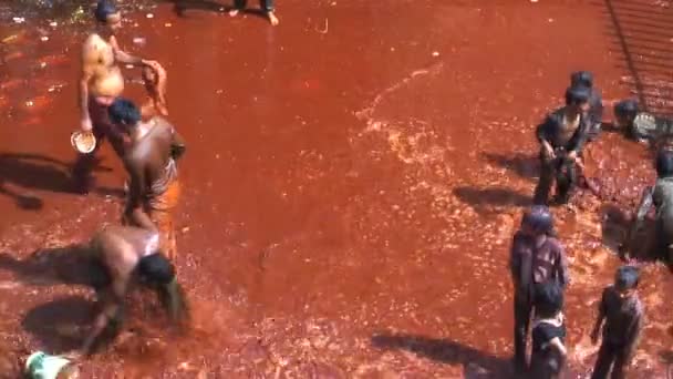 Festival Holi na Índia — Vídeo de Stock