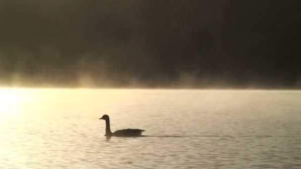 Derwent See im Nebel — Stockvideo