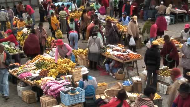 Grande gruppo di persone in un mercato di pecore — Video Stock