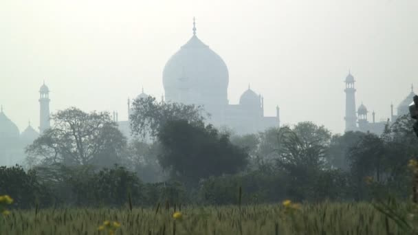 Taj Mahal mausoleum — Stockvideo