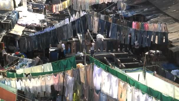 Lavandería tradicional en la India — Vídeo de stock