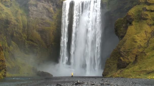 Cachoeira Skogafoss Costa sul Islândia — Vídeo de Stock