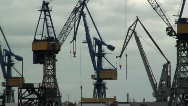 Container Ship in Hamburg — Stock Video