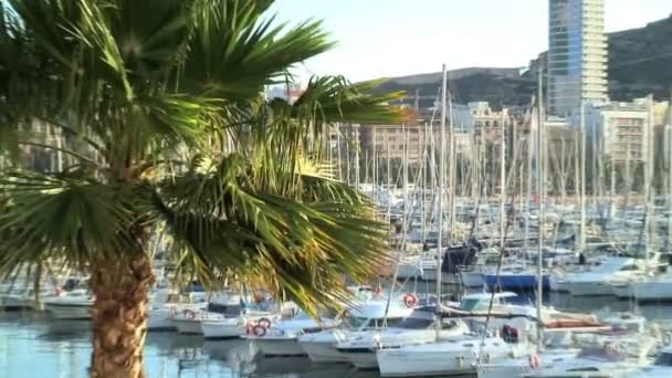 Castelo de santa barbara — Vídeo de Stock