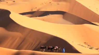 Adam önde gelen Develer