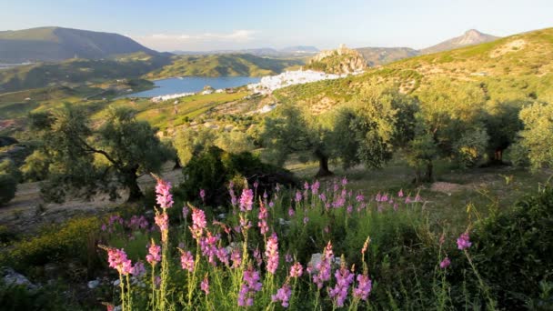 Krásný pohled na krajinu Andalusie — Stock video