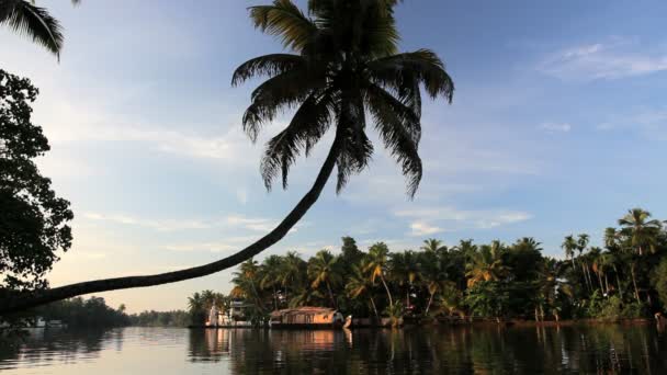 Husbåtar flyter på Kerala backwaters — Stockvideo