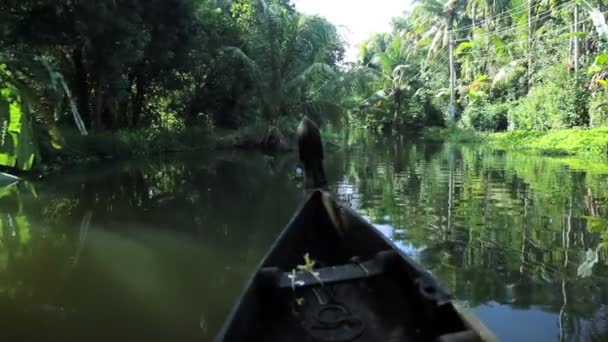 Canoa que pasa a lo largo de remansos — Vídeo de stock