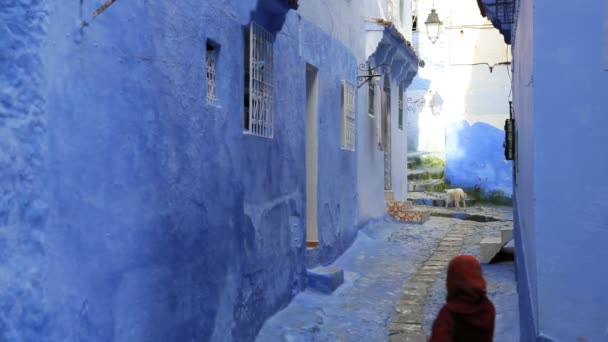 Mujer visitando una casa azul tradicional — Vídeo de stock
