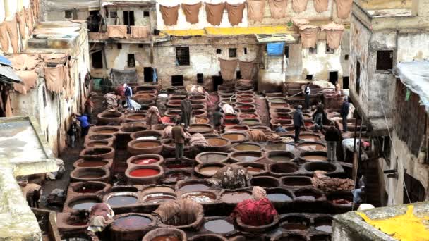 Workers at the Leather Tanneries — Stock Video