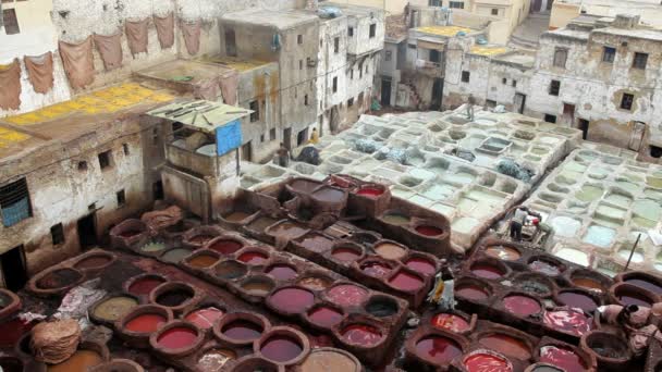 Workers at the Leather Tannery — Stock Video