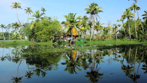 Home op de oevers van de backwaters van Kerala — Stockvideo