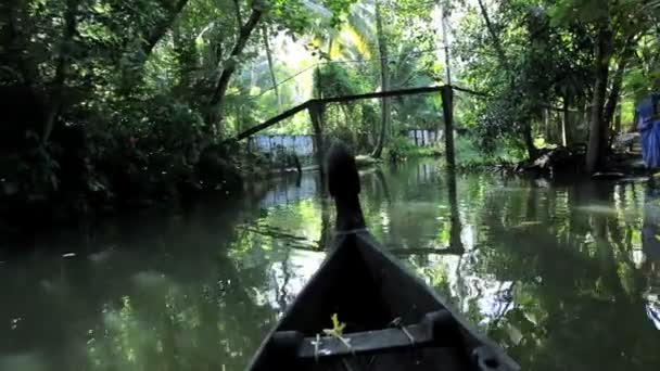 Tráfego de água em Kerala backwaters — Vídeo de Stock