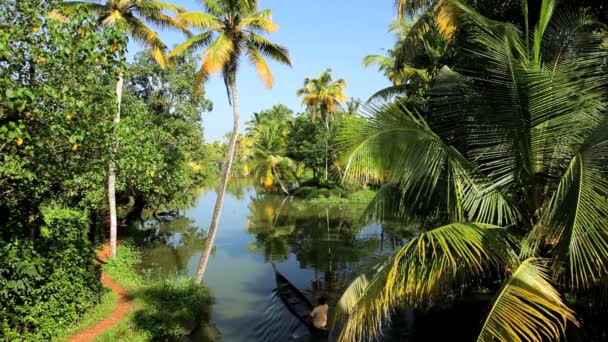 Kanot går längs backwaters — Stockvideo