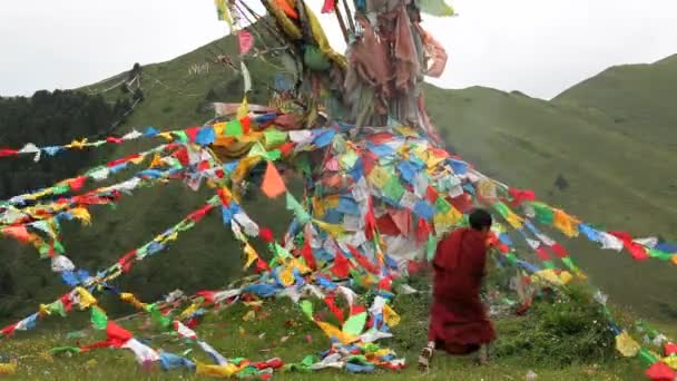 Buddhist monk burning pine to make incense — Stock Video