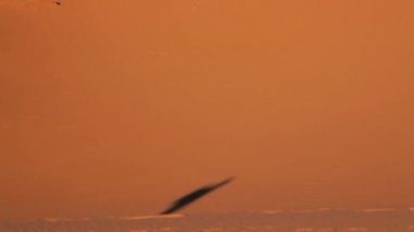 Kum tepeleri arasında gölge