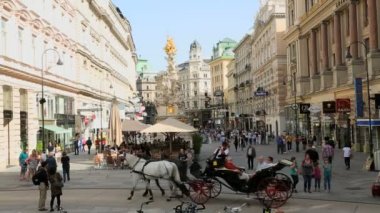 Ve turist taşıyan atımı
