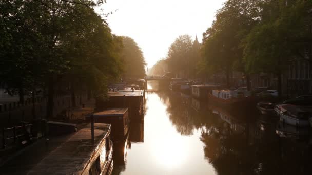 Huis boten afgemeerd langs Amsterdams vele grachten bij zonsopgang — Stockvideo