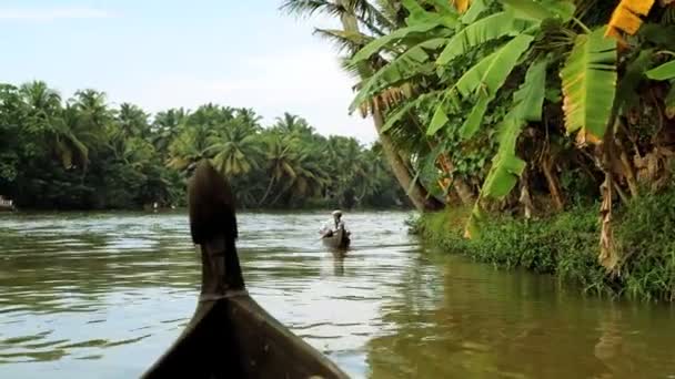 Canoes passing on Kerala backwaters — Stock Video