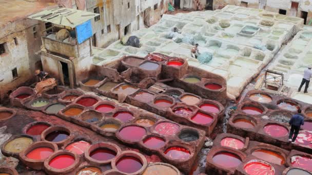 Workers at the Leather Tanneries — Stock Video