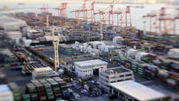 Japanese Cargo Container Port — Stock Video