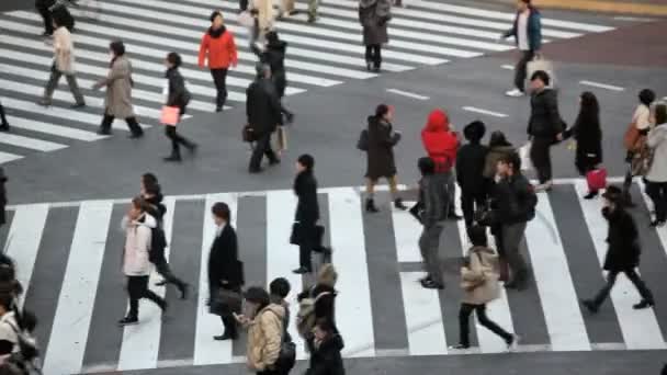 Pedestrians crossing crosswalk — Stock Video