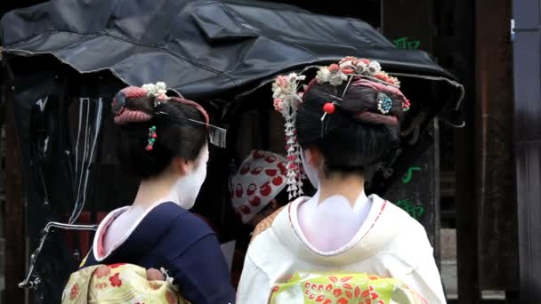 Japonesa geisha niñas — Vídeo de stock