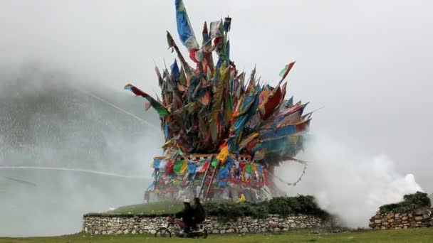 赛马节 — 图库视频影像