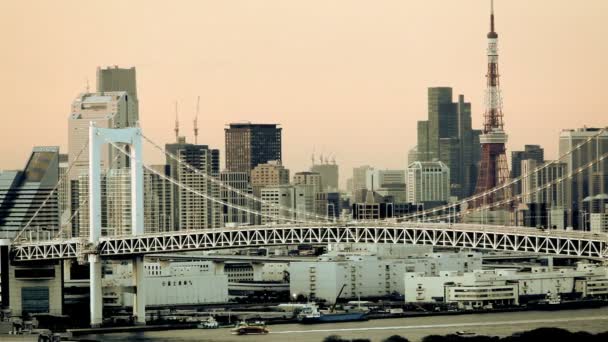 Port de conteneur de fret japonais occupé — Video