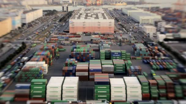 Meşgul Japon kargo konteyner liman — Stok video