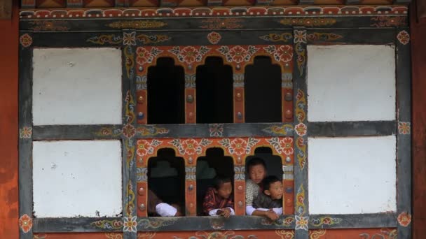 Crianças pequenas que assistem de uma janela — Vídeo de Stock