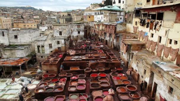 Travailleurs des tanneries de cuir — Video