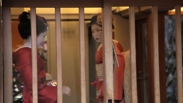Две японские гейши — стоковое видео