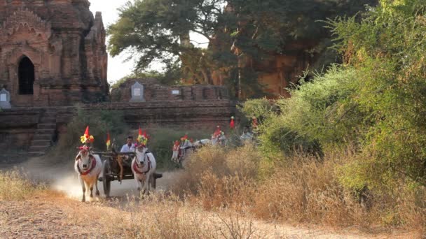 Carros de bueyes y pagodas — Vídeo de stock