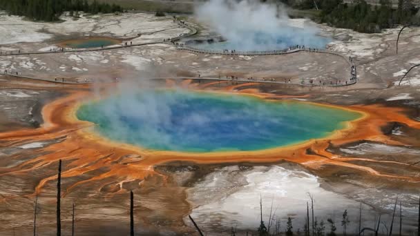 Slående färg Grand Prismatic Spring — Stockvideo