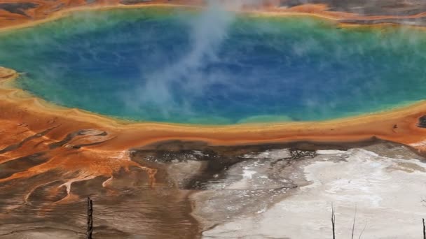 Vivid colors in the spring - Grand Prismatic Spring — Stock Video