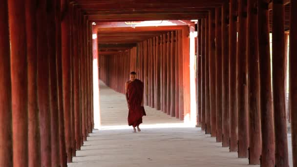 Monk in loopbrug aan Shwezigon pagode — Stockvideo