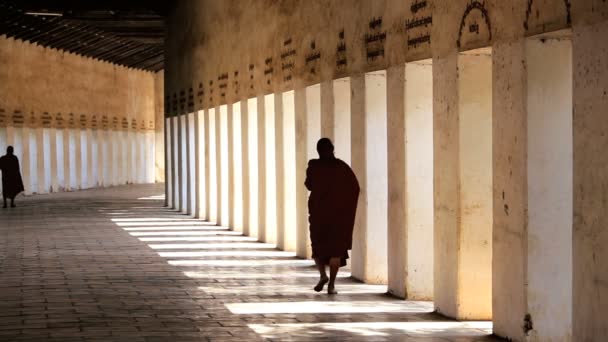 Monk  in Walkway to Shwezigon Pagoda — Stock Video