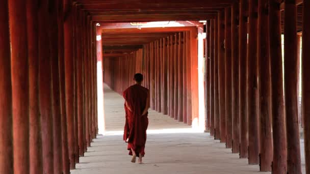 Monje en la pasarela a la pagoda Shwezigon — Vídeo de stock