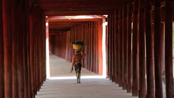 Woman carrying basket — Stock Video