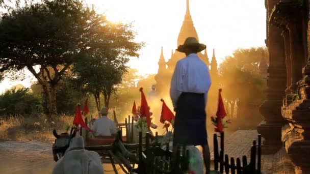 Bullock wózki i pagody — Wideo stockowe