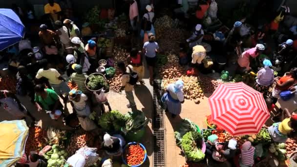 African market street vendors selling fresh fruit and vegetables — Stock Video