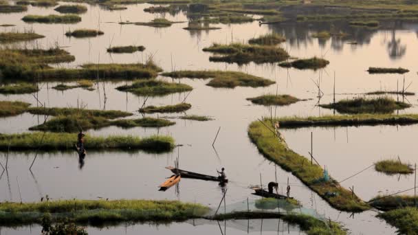 Arbetstagare på Loktak Lake — Stockvideo