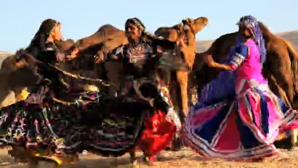 Rajasthan dançarinas tradicionais femininas — Vídeo de Stock